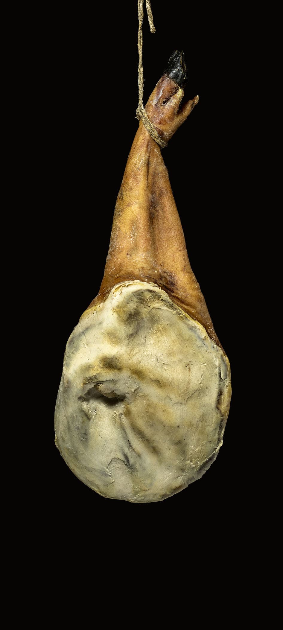 OPUS NERA Spalla Petronilla